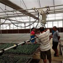 廣西欽州市青龍山莊英美苗木基地 育苗用品與農(nóng)副產(chǎn)品的專(zhuān)業(yè)供應(yīng)商